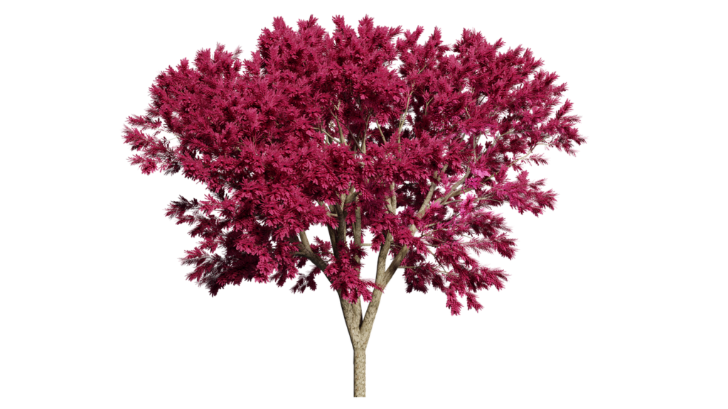 tree-3228117_1280